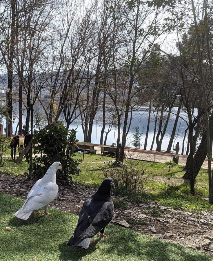 Terrace Tirana